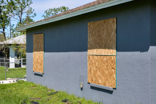 Affordable Siding Repair and Maintenance Services in Lakeland, FL